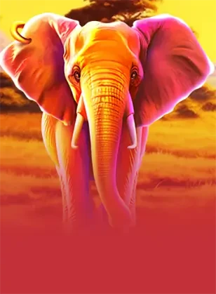 Elephant Carnival
