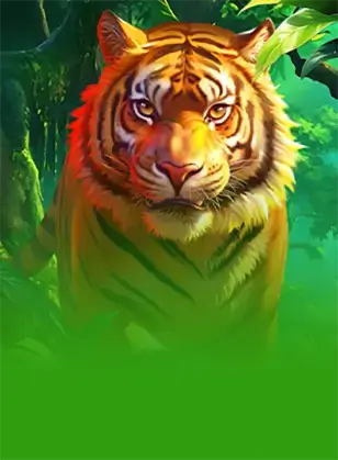 JUNGLE TIGER